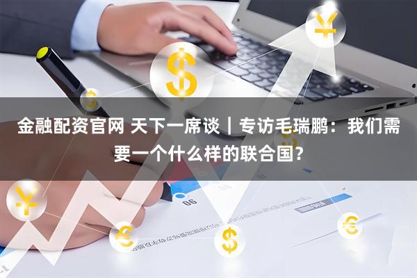 金融配资官网 天下一席谈｜专访毛瑞鹏：我们需要一个什么样的联合国？